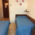 Nuovo Suisse