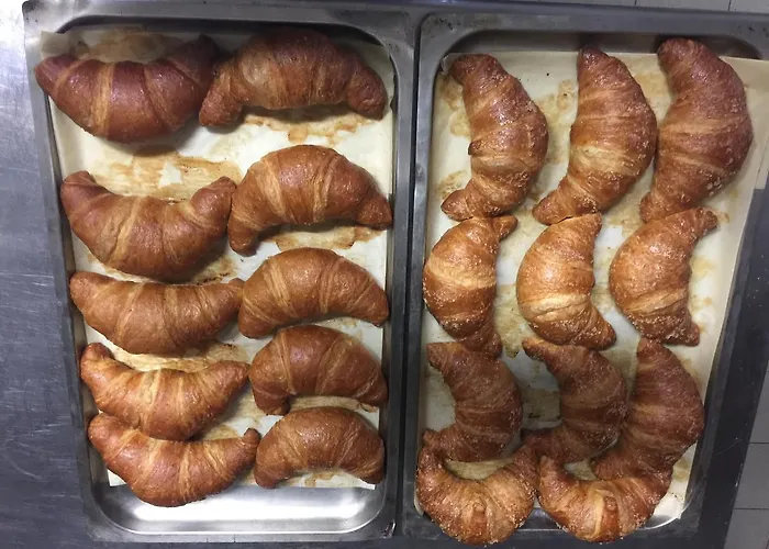 Nuovo Suisse Alassio